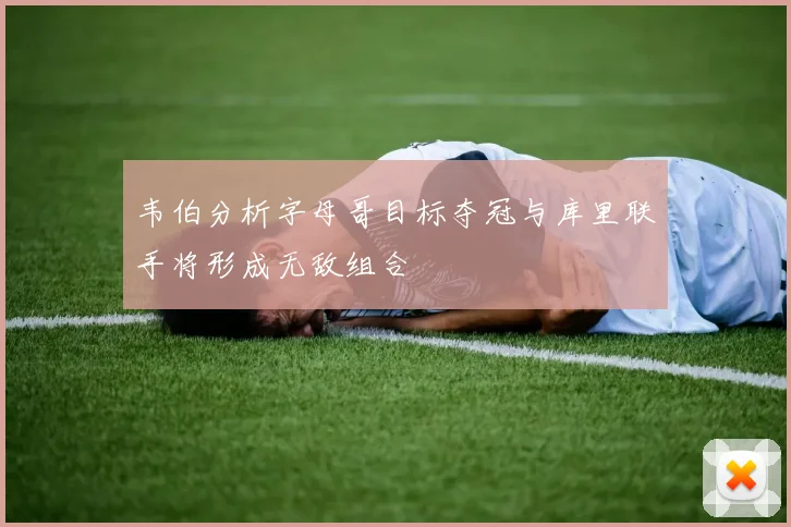 韦伯分析字母哥目标夺冠与库里联手将形成无敌组合